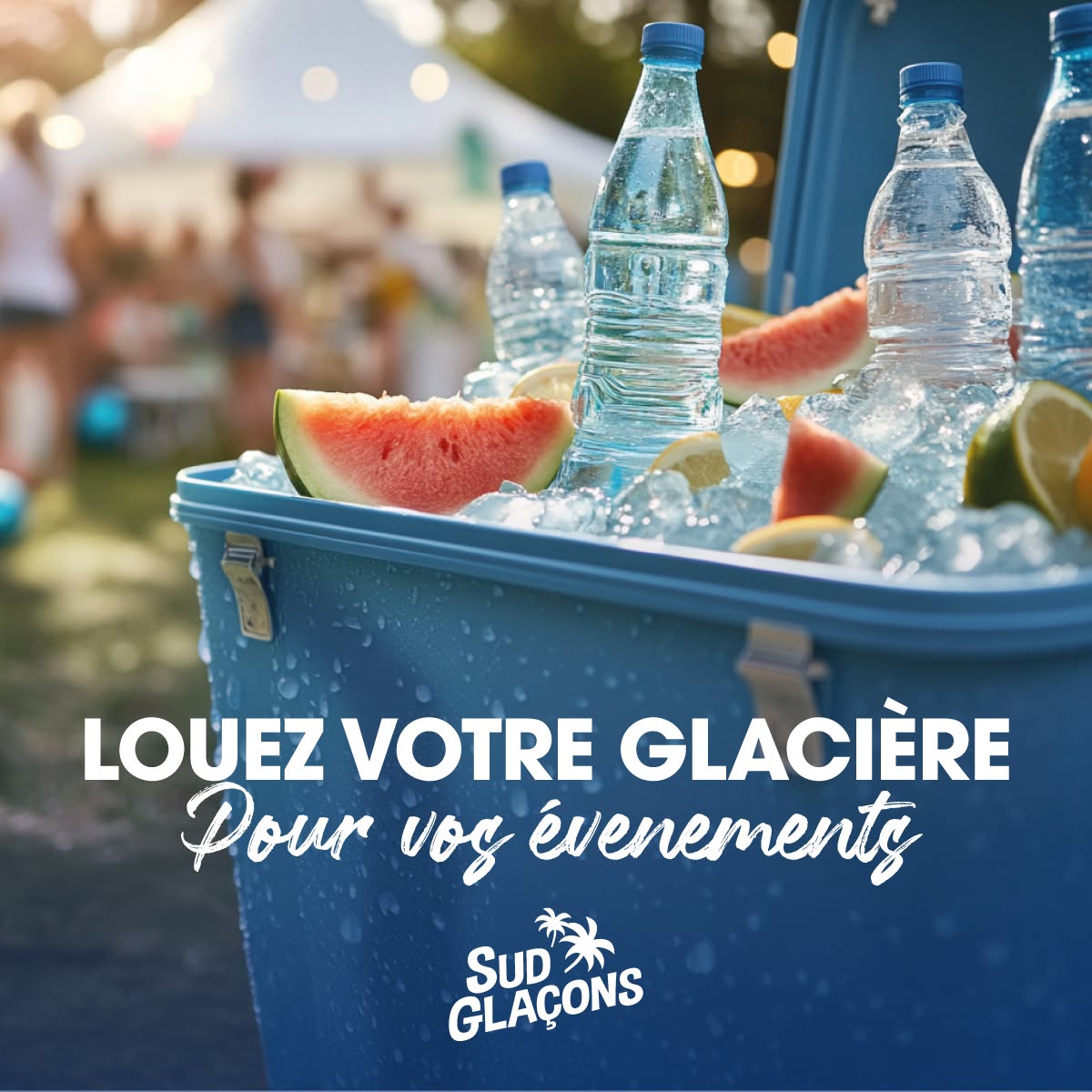 Sud Glaçons