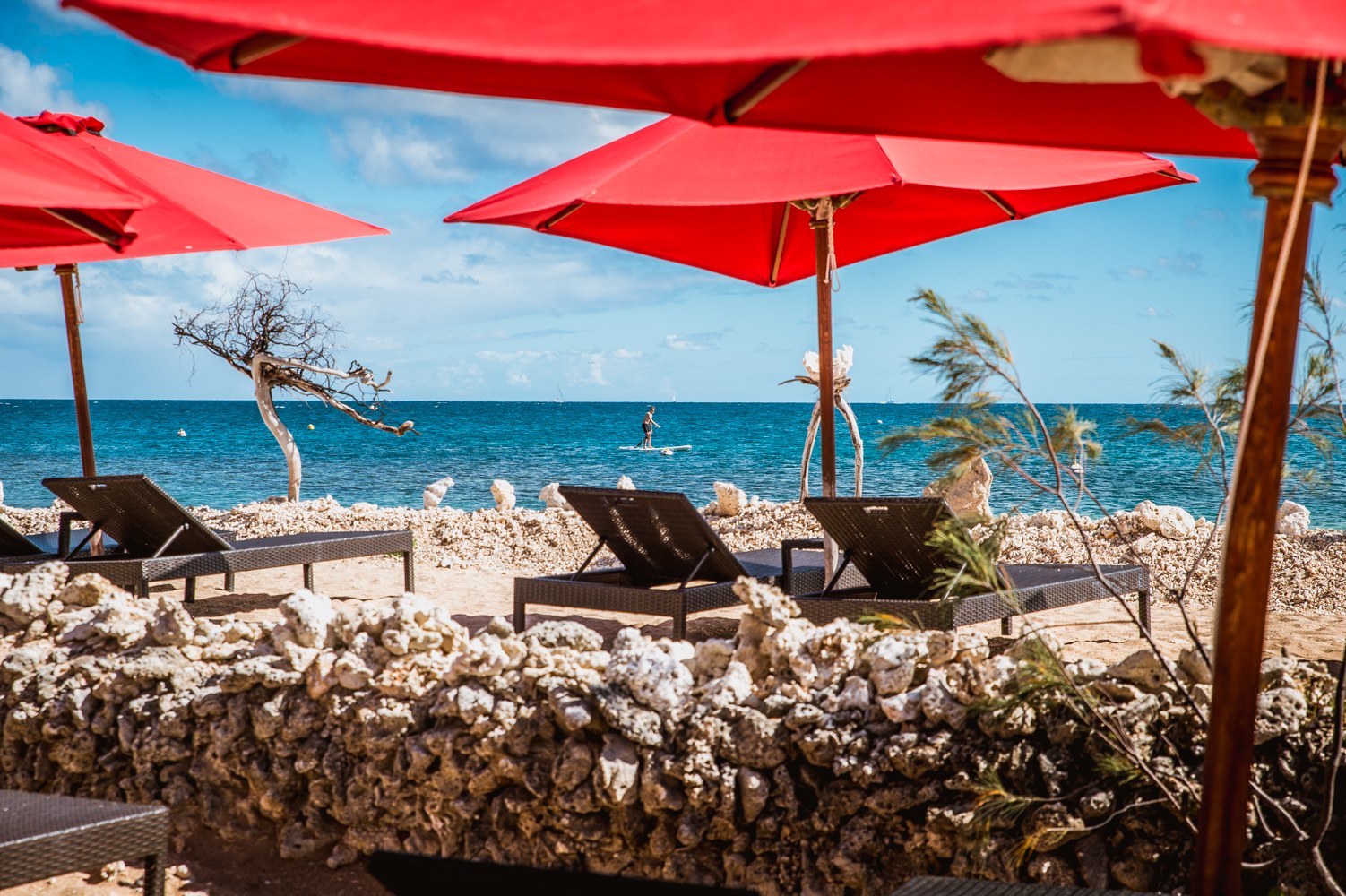 Ile aux Canards  Restaurant Le Filao