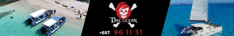 DalOcean Charter - TAXIBOAT - CATAMARAN observation BALEINES - (sortie ilot Signal, Laregnere, Amédée)