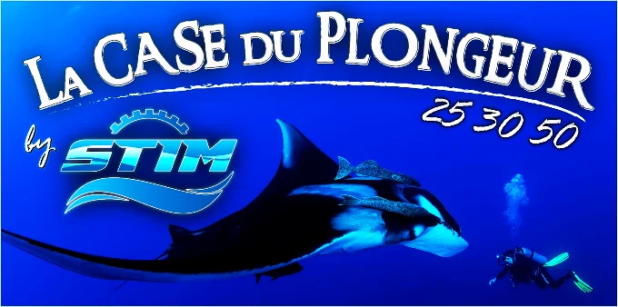 La Case du Plongeur by Stim