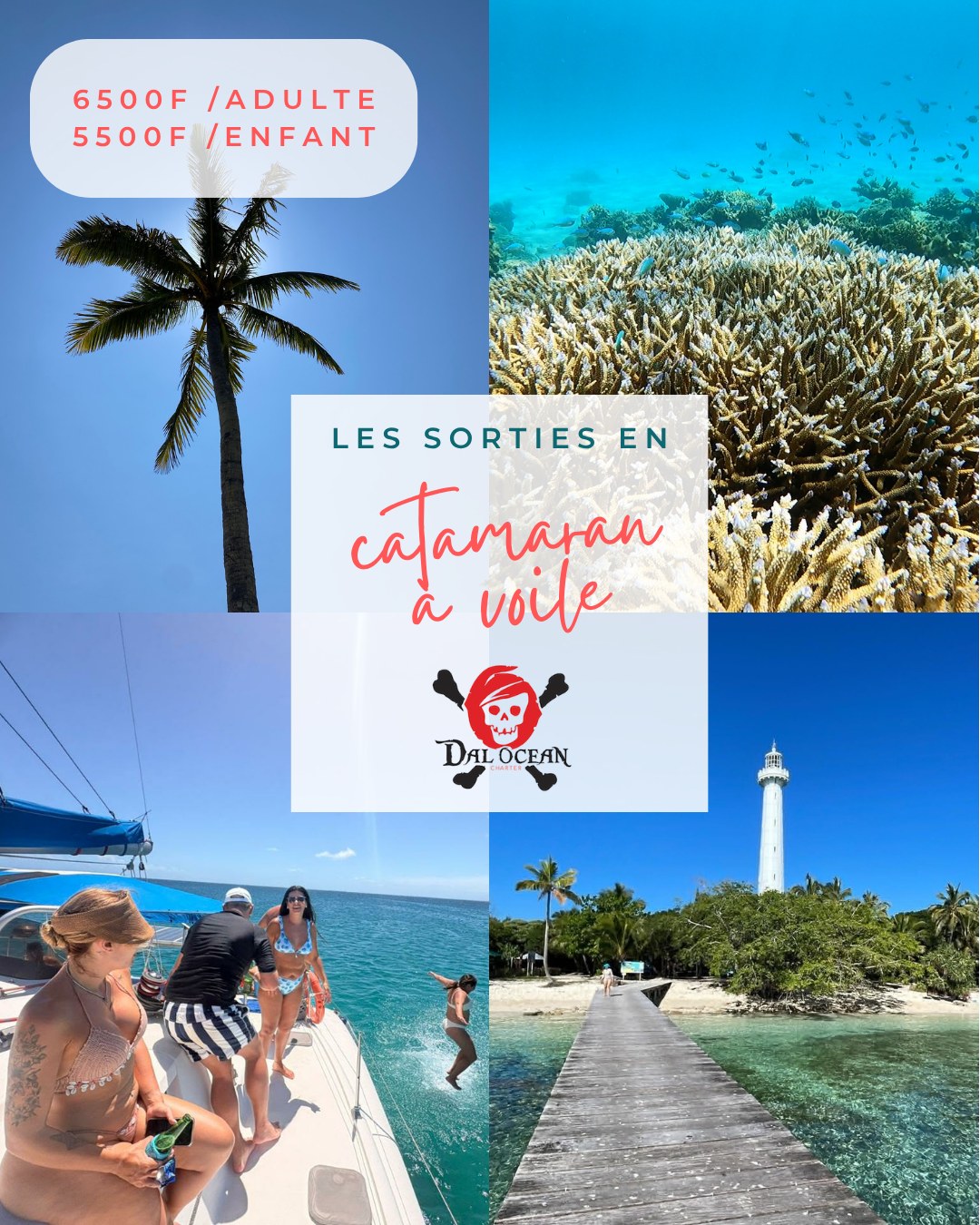 DalOcean Charter - TAXIBOAT - CATAMARAN observation BALEINES - (sortie ilot Signal, Laregnere, Amédée)